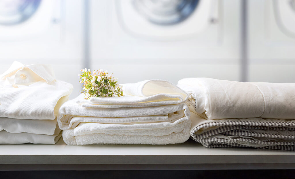 laundry mat fold services near me